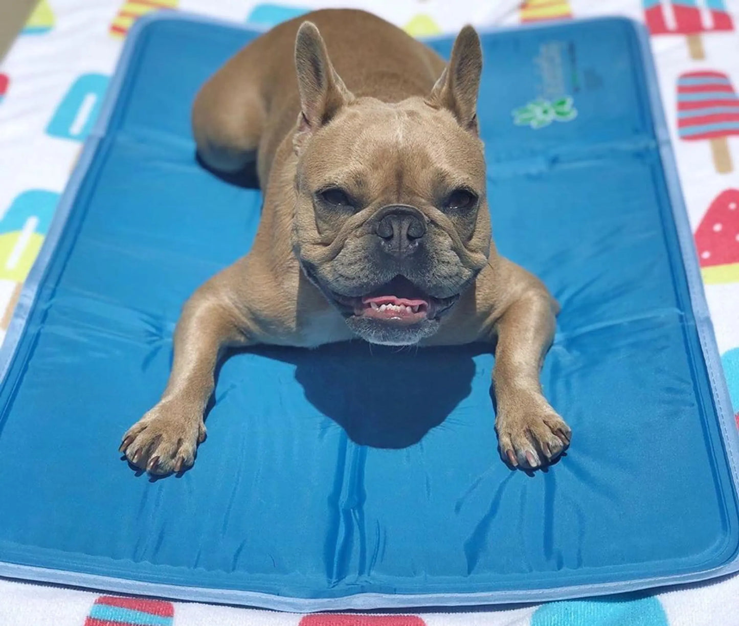 Cool Pet Pad – Pressure-Activated Cooling Mat for Dogs & Cats (No Water, No Electricity)