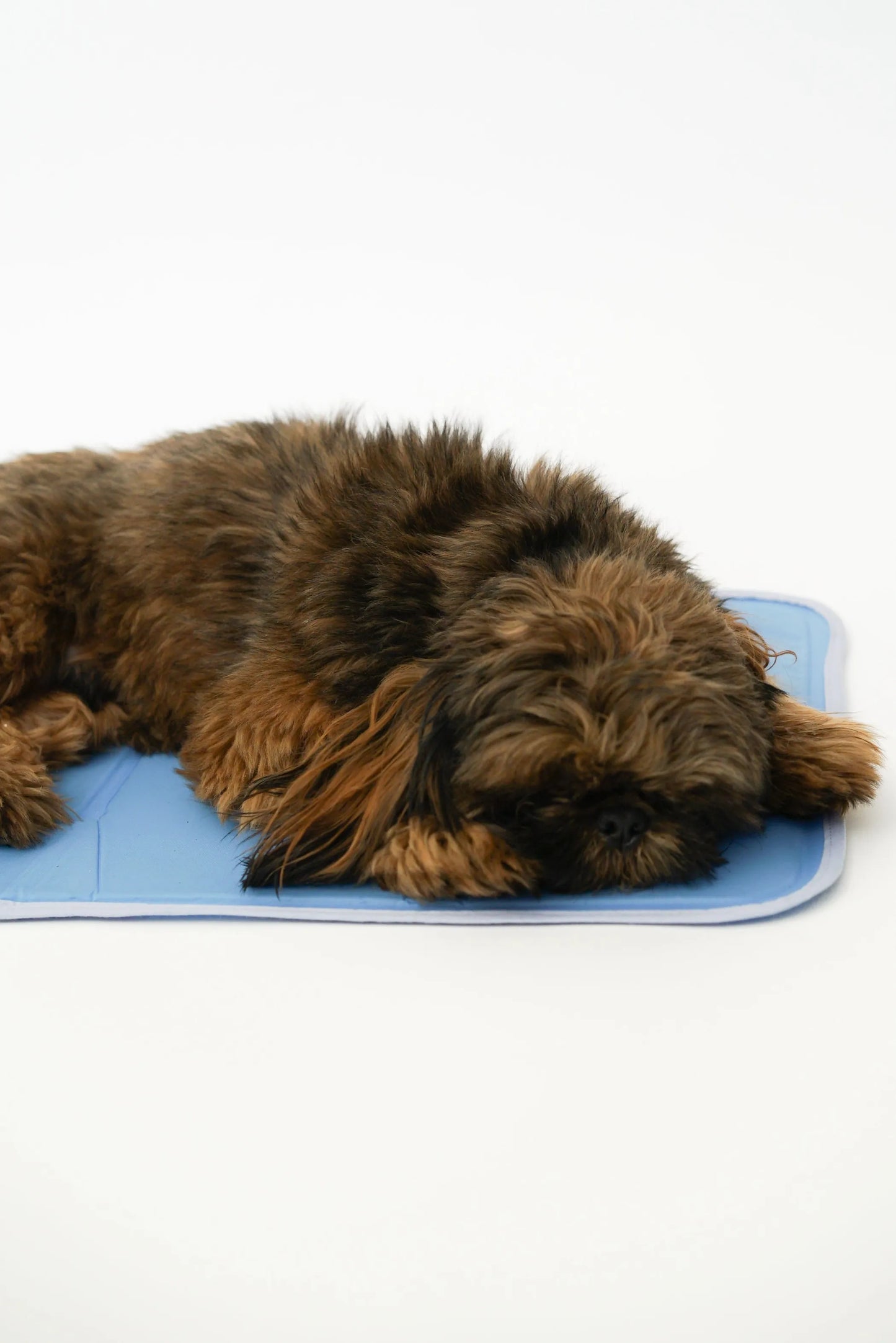 Cool Pet Pad – Pressure-Activated Cooling Mat for Dogs & Cats (No Water, No Electricity)