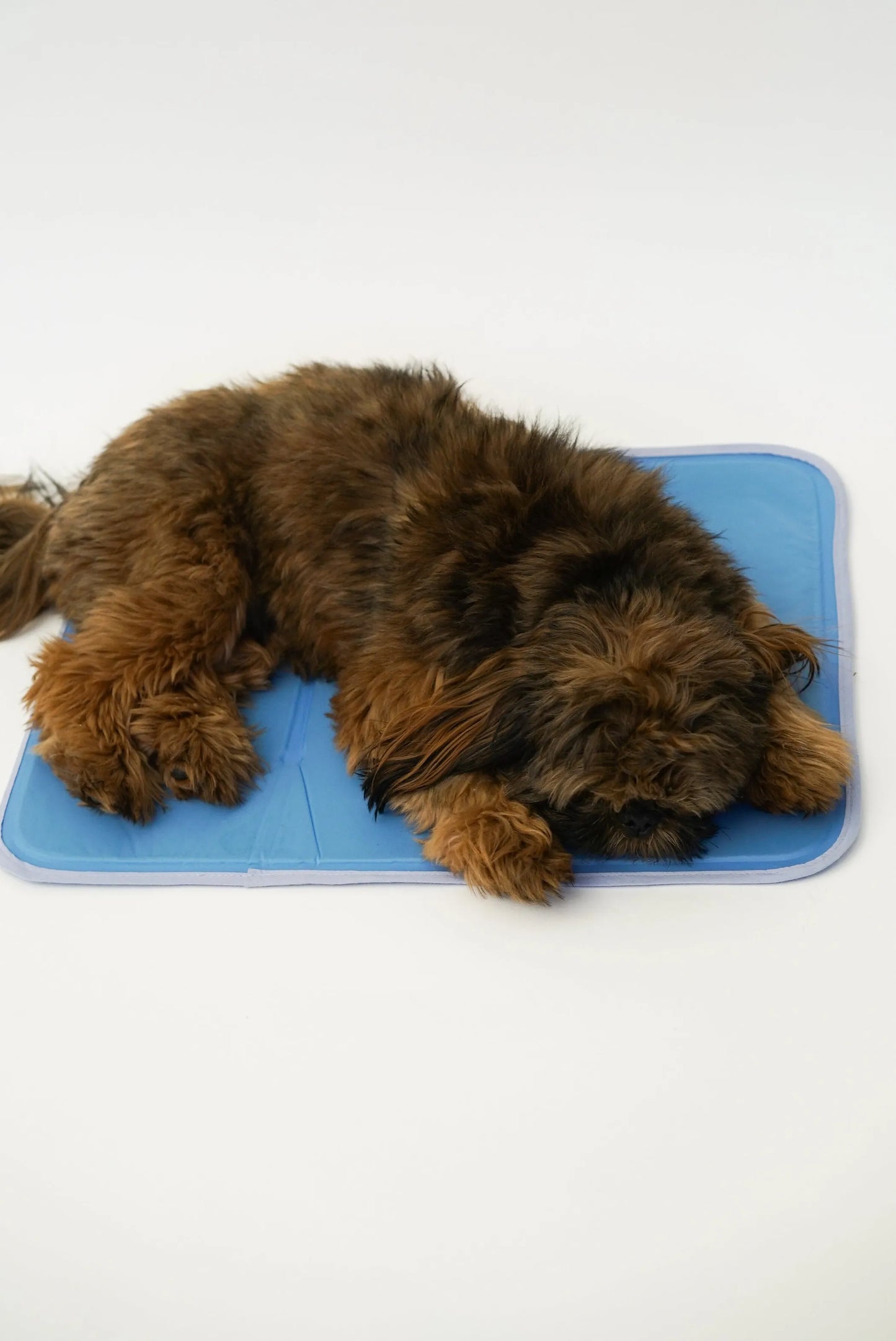 Cool Pet Pad – Pressure-Activated Cooling Mat for Dogs & Cats (No Water, No Electricity)