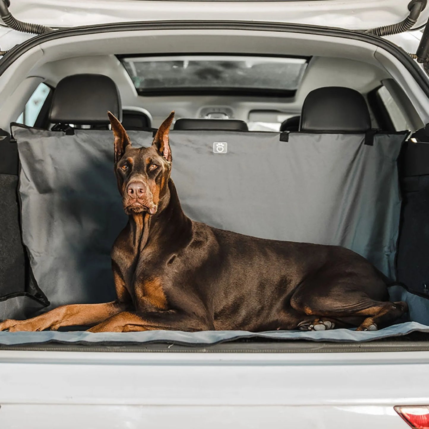 GF Pet Cargo Cover – Waterproof Car Trunk Protector for Dogs