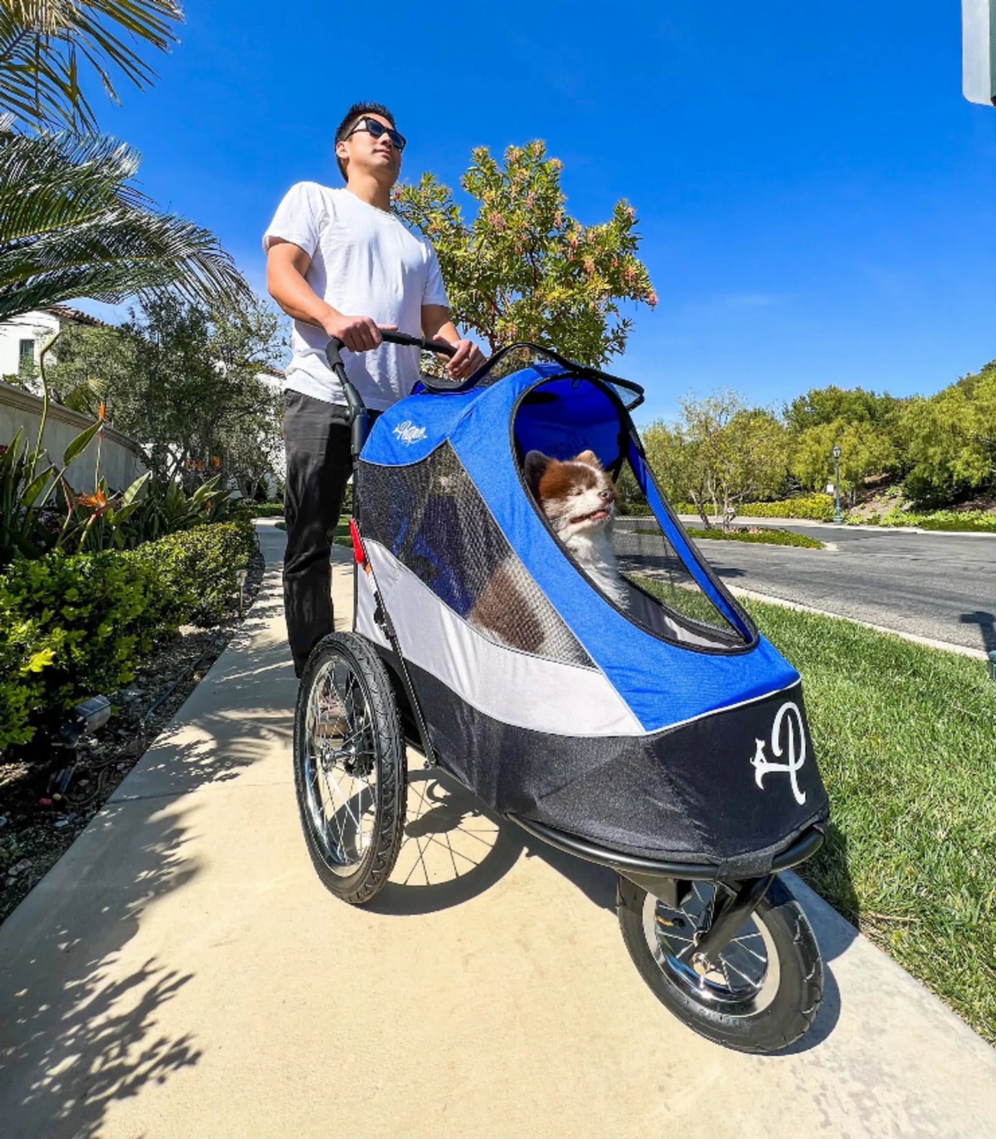 Petique Trailblazer Pet Jogger – Luxury Dog & Cat Stroller with Bike Adapter Option
