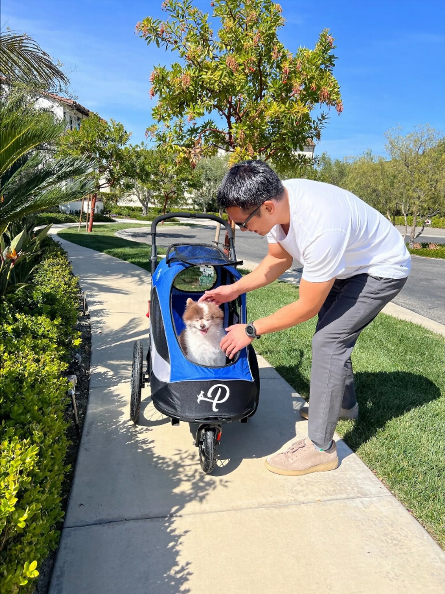 Petique Trailblazer Pet Jogger – Luxury Dog & Cat Stroller with Bike Adapter Option