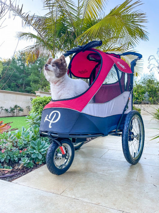 Petique Trailblazer Pet Jogger – Luxury Dog & Cat Stroller with Bike Adapter Option