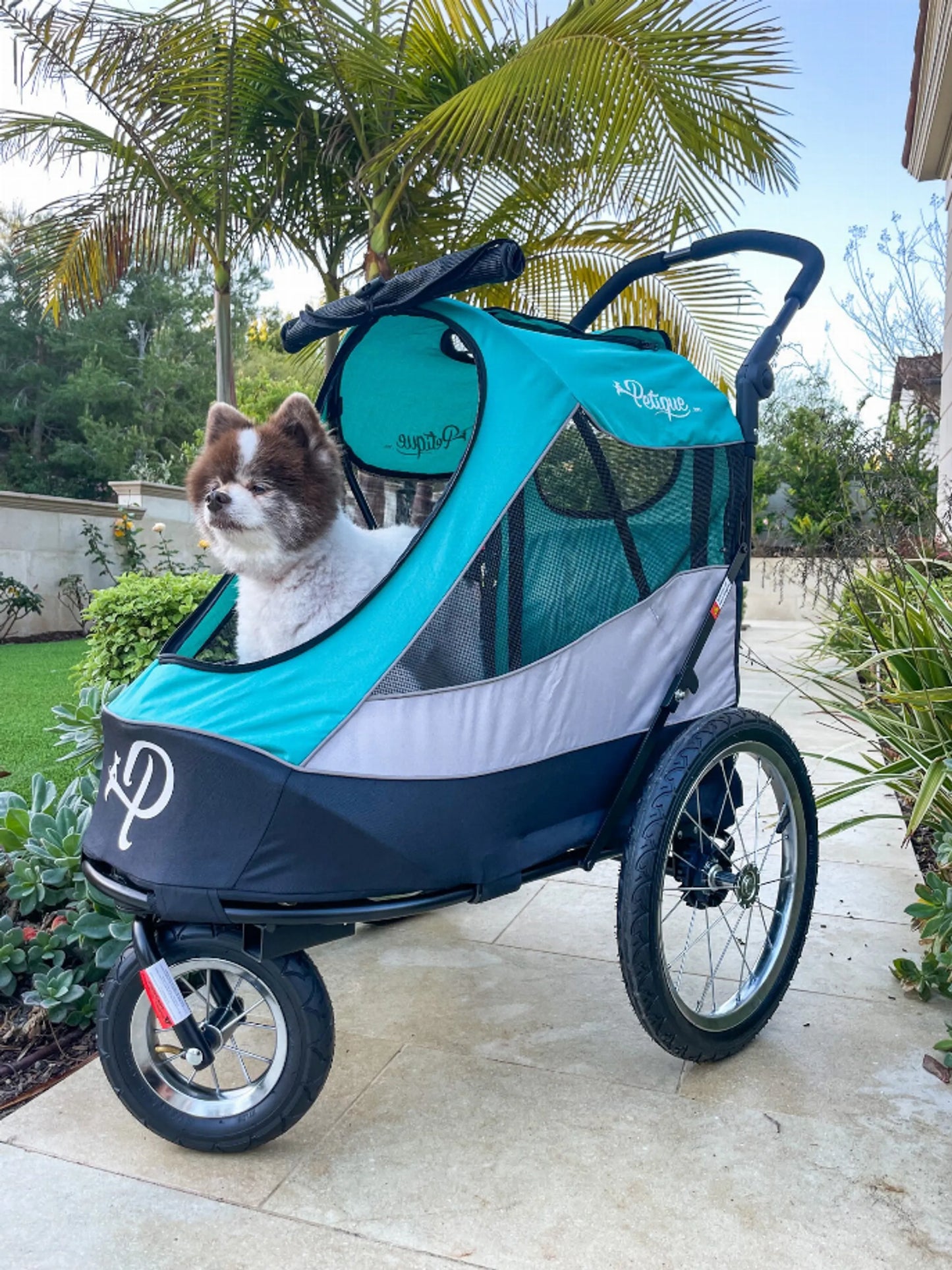 Petique Trailblazer Pet Jogger – Luxury Dog & Cat Stroller with Bike Adapter Option